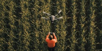 The Future of AI in US Agriculture: Boosting Crop Yields by 20% - Cover Image