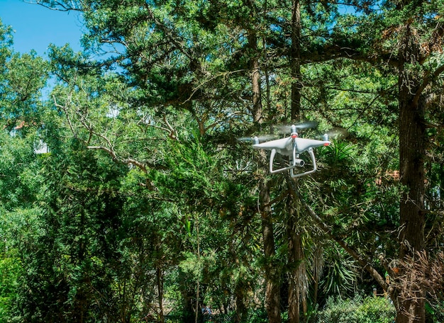 A network of sensors and drones monitoring a forest, feeding data into an AI system that is analyzing deforestation patterns and predicting areas at high risk. Focus on technology, nature, and proactive environmental protection.